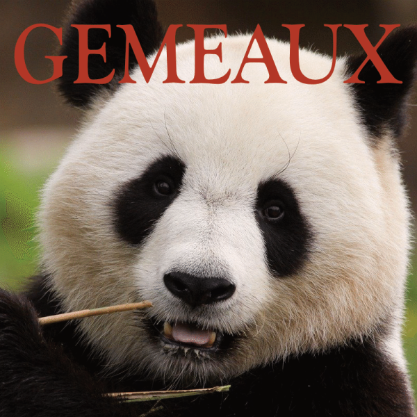Gémeaux ~ Hors série - Projection 2024 partie 2