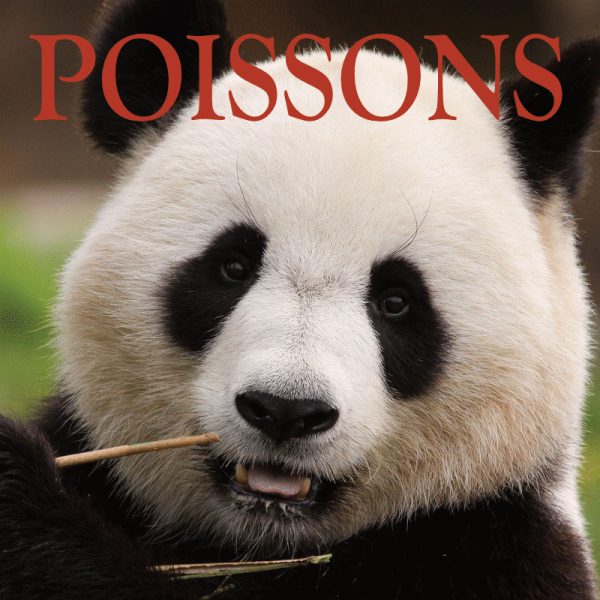 Poissons ~ Hors série - Projection 2024 partie 2