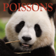 Poissons ~ Hors série - Projection 2024 partie 2
