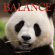 Balance ~ Hors série - Projection 2024 partie 2
