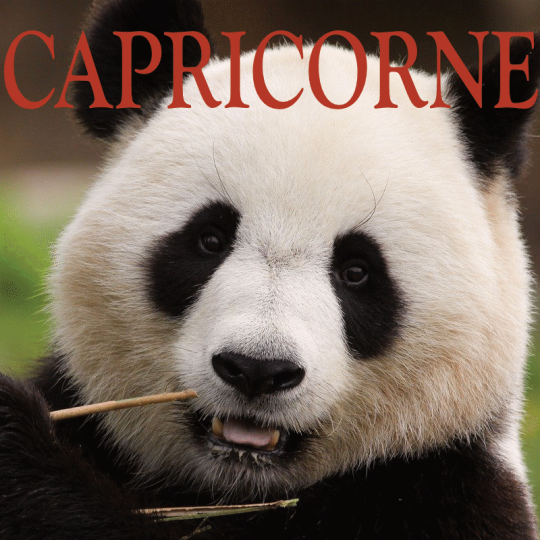 Capricorne ~ Hors série - Projection 2024 partie 2