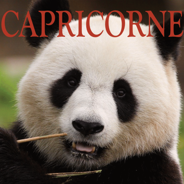 Capricorne ~ Hors série - Projection 2024 partie 2