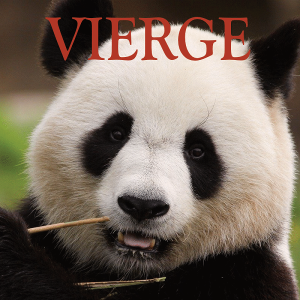 Vierge ~ Hors série – Projection 2024 partie 2