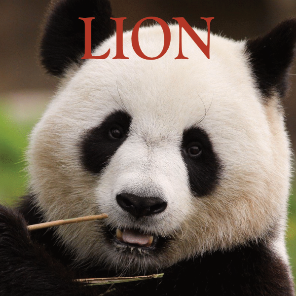 Lion ~ Hors série - Projection 2024 partie 2