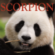 Scorpion ~ Hors série – Projection 2024 partie 2