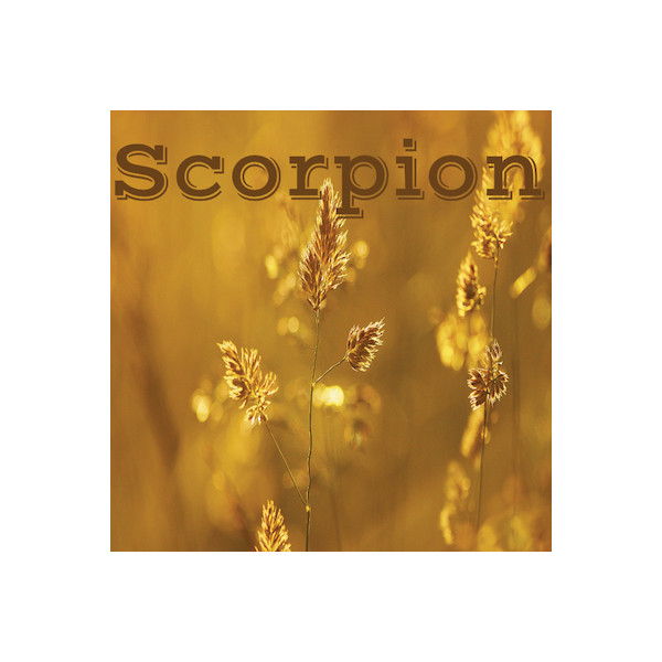 Scorpion juin 2024
