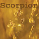 Scorpion juin 2024