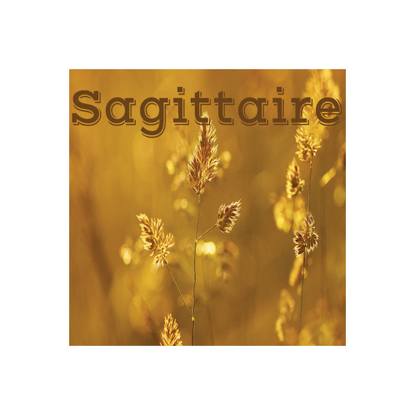 Sagittaire juin 2024