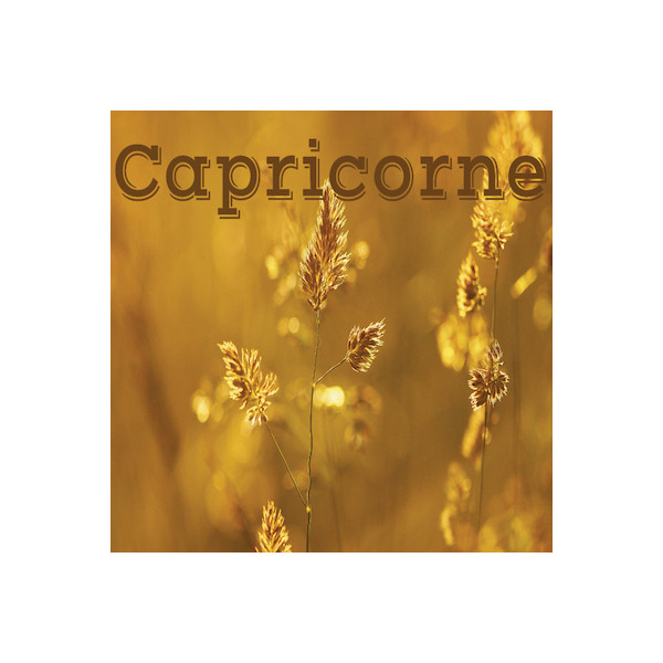 Capricorne juin 2024