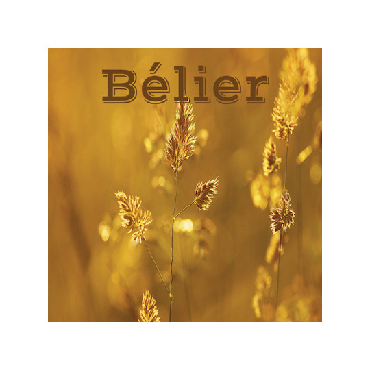 Bélier juin 2024