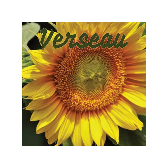 Verseau juillet 2024