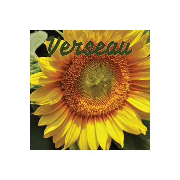 Verseau juillet 2024