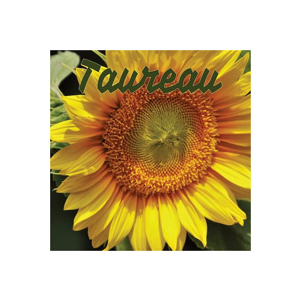 Taureau juillet 2024