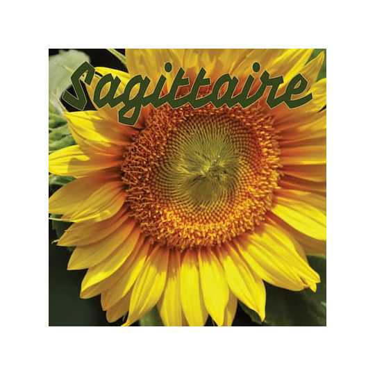 Sagittaire juillet 2024