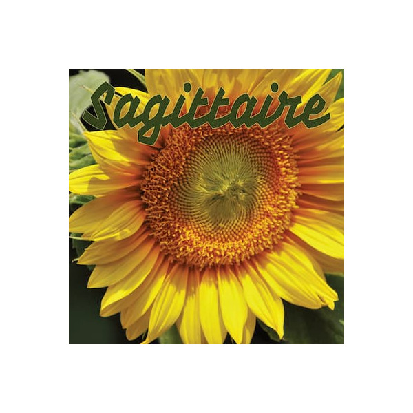 Sagittaire juillet 2024