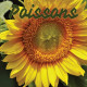 Poissons juillet 2024