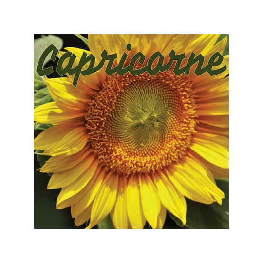 Capricorne juillet 2024