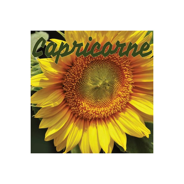 Capricorne juillet 2024