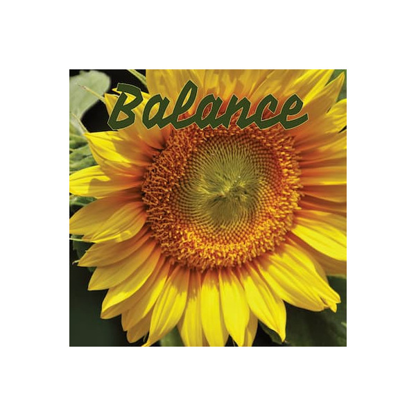 Balance juillet 2024