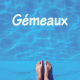 Gémeaux août 2024