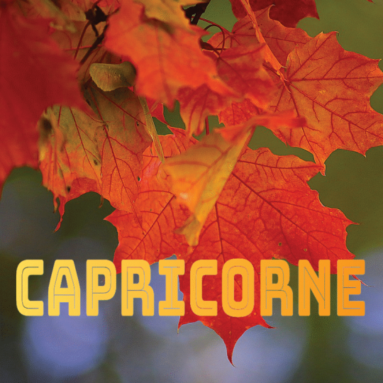 Capricorne septembre 2024