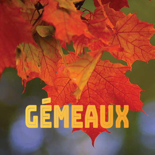 Gémeaux septembre 2024