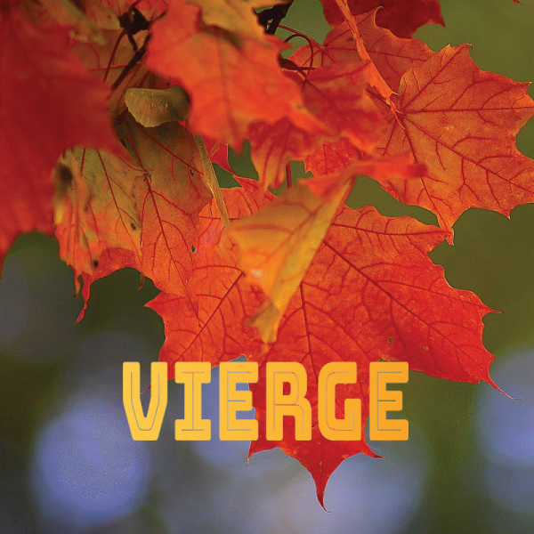 Vierge septembre 2024