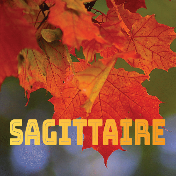 Sagittaire septembre 2024