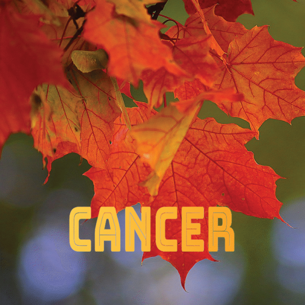 Cancer septembre 2024