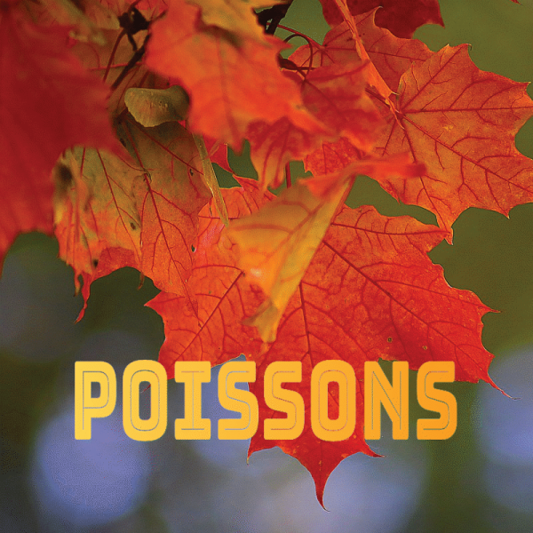 Poissons septembre 2024