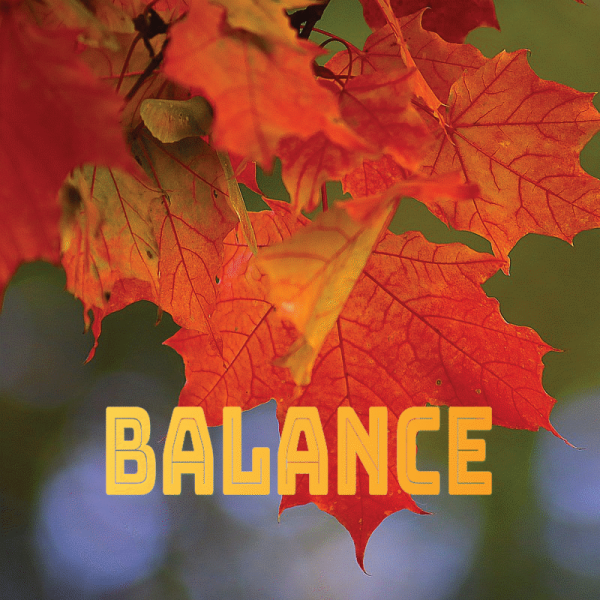 Balance septembre 2024