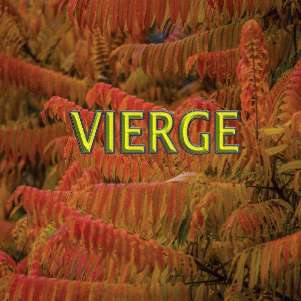 Vierge novembre 2024