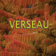Verseau novembre 2024