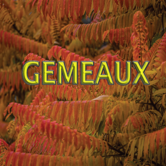 Gémeaux novembre 2024