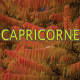 Capricorne novembre 2024