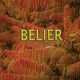 Bélier novembre 2024