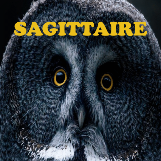 Sagittaire ~ Hors série - Projection 2025 partie 1