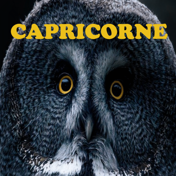 Capricorne ~ Hors série - Projection 2025 partie 1