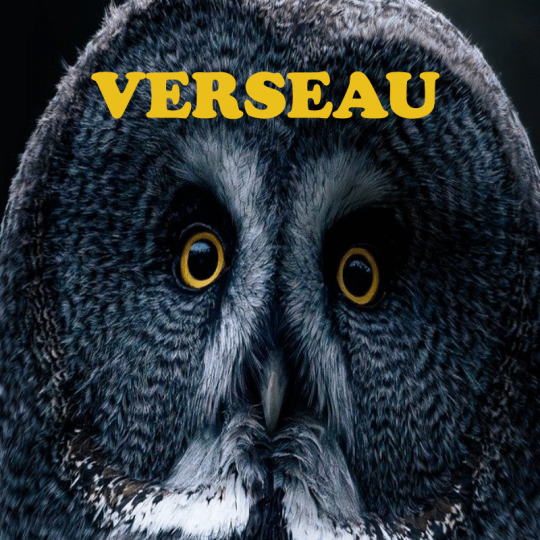 Verseau ~ Hors série - Projection 2025 partie 1