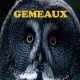 Gémeaux ~ Hors série - Projection 2025 partie 1