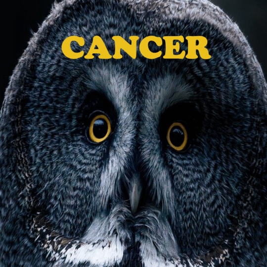 Cancer ~ Hors série - Projection 2025 partie 1