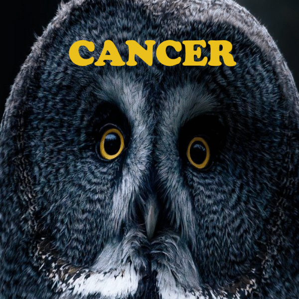 Cancer ~ Hors série - Projection 2025 partie 1