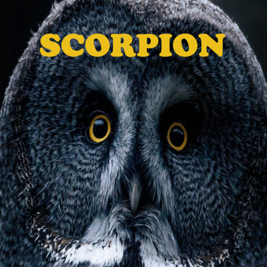 Scorpion ~ Hors série - Projection 2025 partie 1