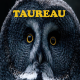 Taureau ~ Hors série - Projection 2025 partie 1