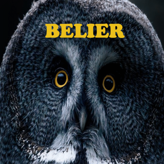 Bélier ~ Hors série - Projection 2025 partie 1