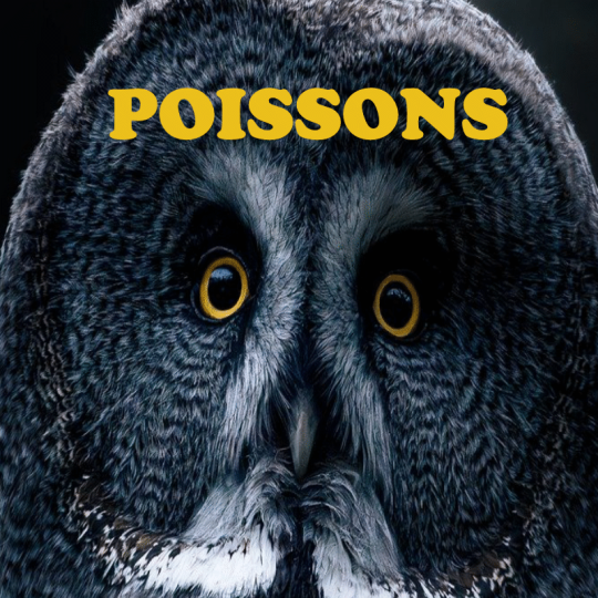 Poissons ~ Hors série - Projection 2025 partie 1