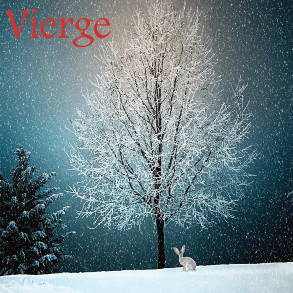 Vierge décembre 2024