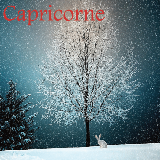 Capricorne décembre 2024