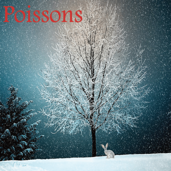 Poissons décembre 2024