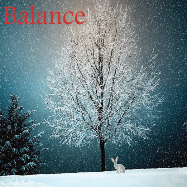 Balance décembre 2024